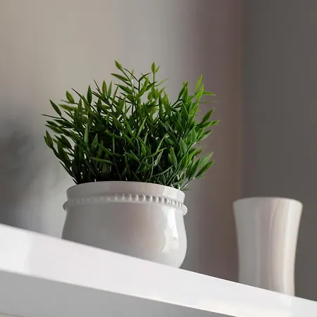 Dlugosza Homely By Bookinghost Appartement *