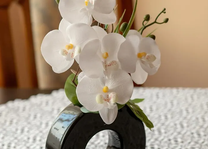 Dlugosza Homely By Bookinghost *